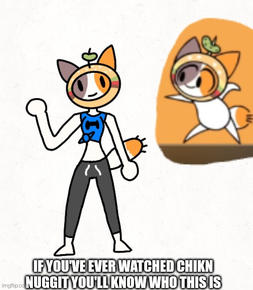 Cheezeborgor (yes, it's canonically spelled that way, it's a thing on that channel) | IF YOU'VE EVER WATCHED CHIKN NUGGIT YOU'LL KNOW WHO THIS IS | made w/ Imgflip meme maker