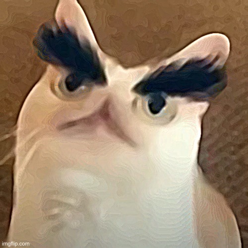 goofy dog | image tagged in cat,blursed | made w/ Imgflip meme maker