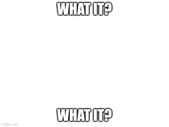 Blank White Template | WHAT IT? WHAT IT? | image tagged in blank white template | made w/ Imgflip meme maker