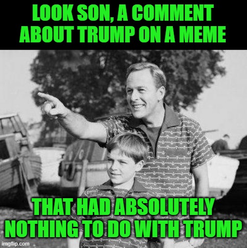 Look Son Meme | LOOK SON, A COMMENT ABOUT TRUMP ON A MEME THAT HAD ABSOLUTELY NOTHING TO DO WITH TRUMP | image tagged in memes,look son | made w/ Imgflip meme maker