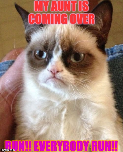 Grumpy Cat | MY AUNT IS COMING OVER; RUN!! EVERYBODY RUN!! | image tagged in memes,grumpy cat | made w/ Imgflip meme maker