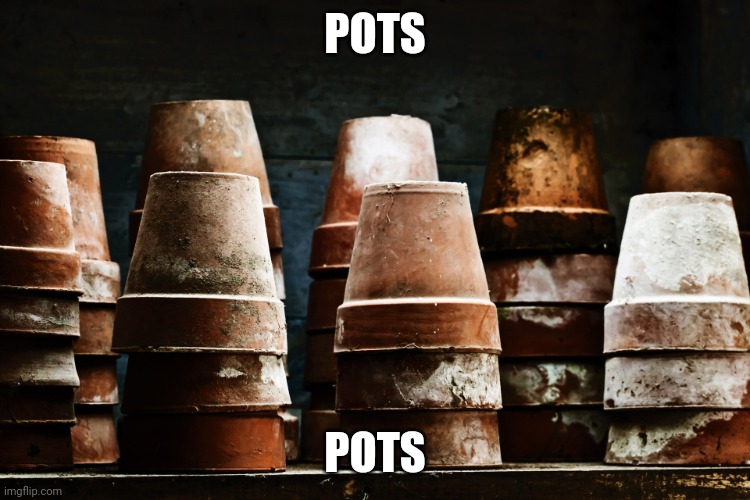 FLOWER POT MEN | POTS POTS | image tagged in flower pot men | made w/ Imgflip meme maker