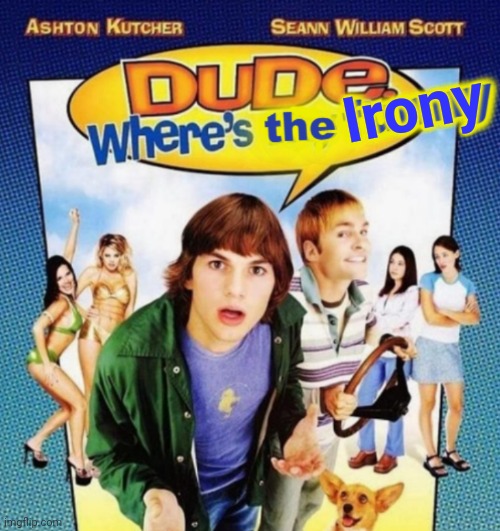 dude where's the funny | Irony | image tagged in dude where's the funny | made w/ Imgflip meme maker