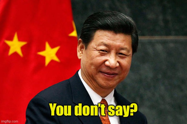 Xi Jinping | You don’t say? | image tagged in xi jinping | made w/ Imgflip meme maker