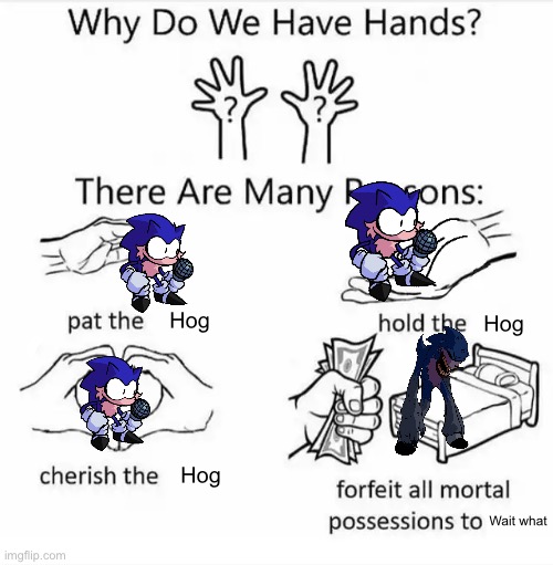 Why do we have hands? (all blank) | Hog; Hog; Hog; Wait what | image tagged in why do we have hands all blank,hog | made w/ Imgflip meme maker