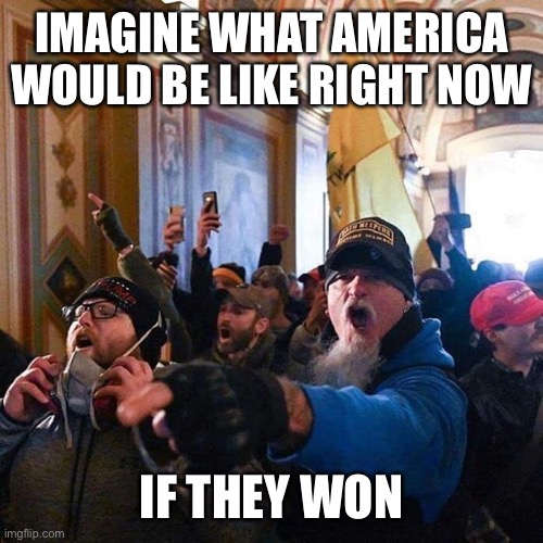 Capitol Traitors | IMAGINE WHAT AMERICA WOULD BE LIKE RIGHT NOW; IF THEY WON | image tagged in capitol traitors | made w/ Imgflip meme maker