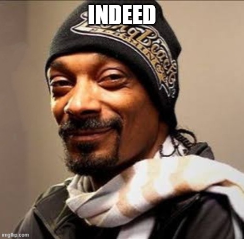 INDEED | image tagged in snoop dogg high on weed | made w/ Imgflip meme maker