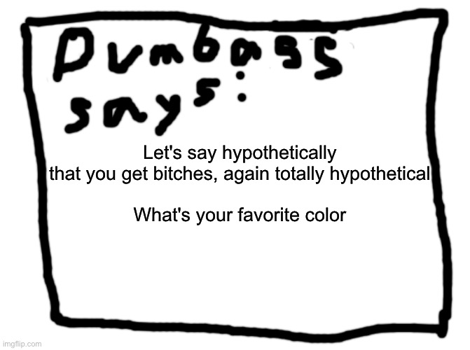 idk | Let's say hypothetically that you get bitches, again totally hypothetical
 
What's your favorite color | image tagged in idk | made w/ Imgflip meme maker