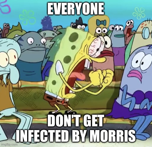 Spongebob Yelling | EVERYONE DON’T GET INFECTED BY MORRIS | image tagged in spongebob yelling | made w/ Imgflip meme maker