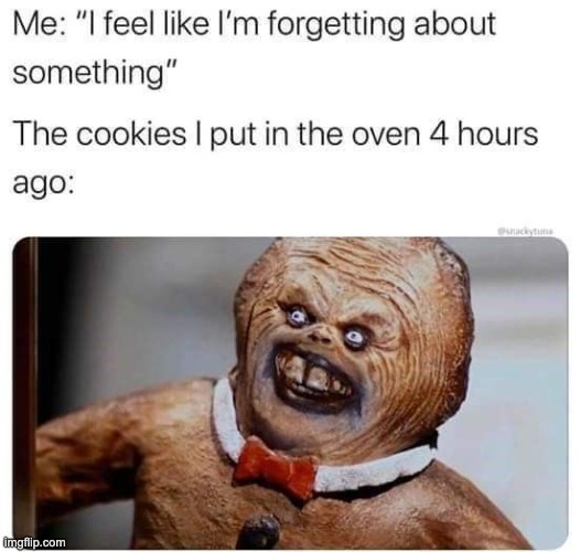 Please don't kill me | image tagged in gingerbread man,oh wow are you actually reading these tags,stop reading the tags | made w/ Imgflip meme maker