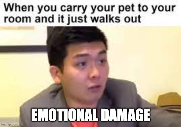 emotional damage | EMOTIONAL DAMAGE | image tagged in stop reading the tags,oh wow are you actually reading these tags,emotional damage | made w/ Imgflip meme maker