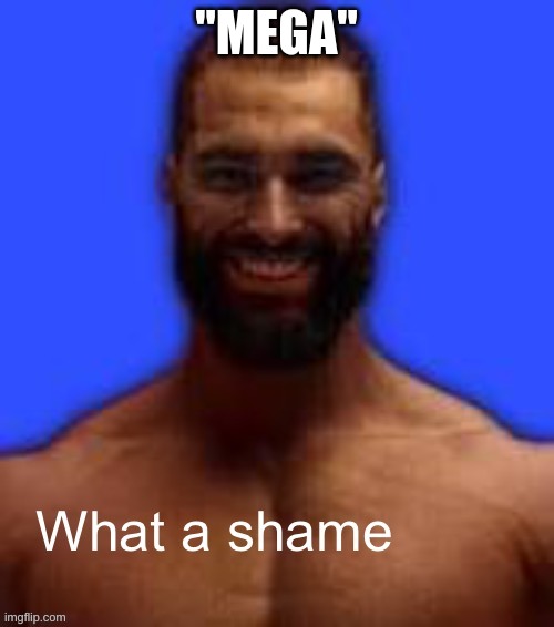 What a shame | "MEGA" | image tagged in what a shame | made w/ Imgflip meme maker