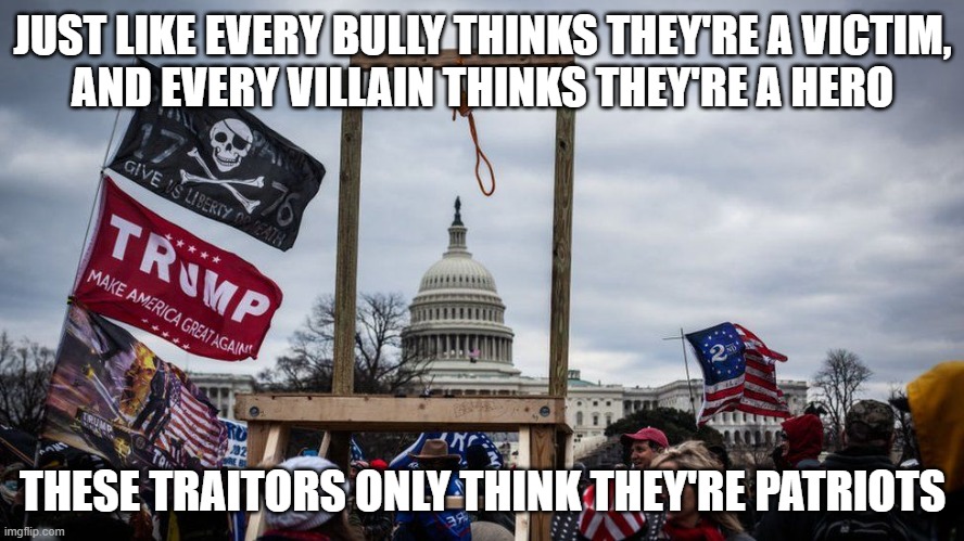 Traitriots |  JUST LIKE EVERY BULLY THINKS THEY'RE A VICTIM,
AND EVERY VILLAIN THINKS THEY'RE A HERO; THESE TRAITORS ONLY THINK THEY'RE PATRIOTS | image tagged in capitol hill,coup,riot,traitors,patriots,deplorable | made w/ Imgflip meme maker