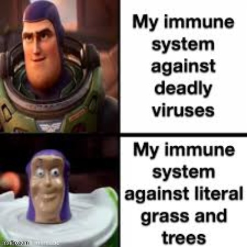 Which is why i dont touch, what is it, g r a s s? | made w/ Imgflip meme maker