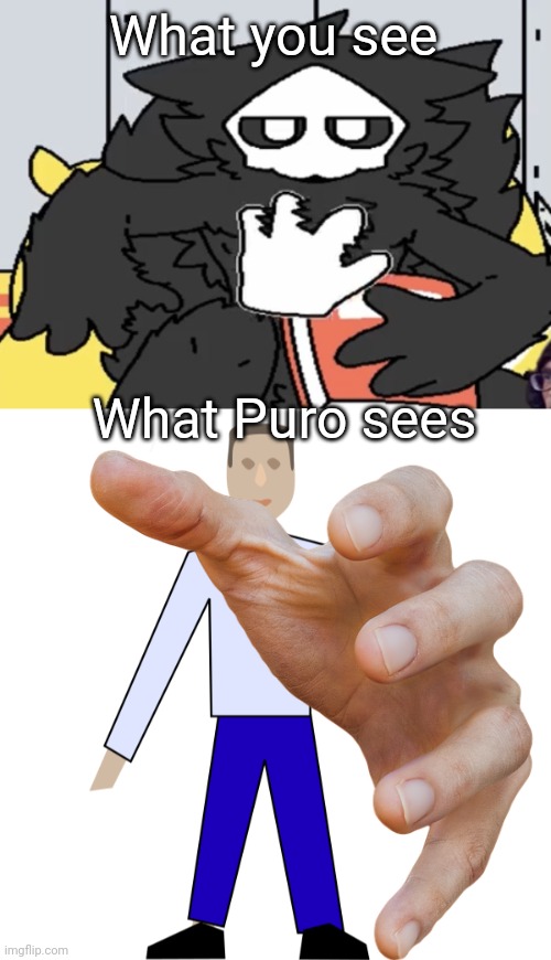 What you see What Puro sees | image tagged in puro judging you,human icon | made w/ Imgflip meme maker