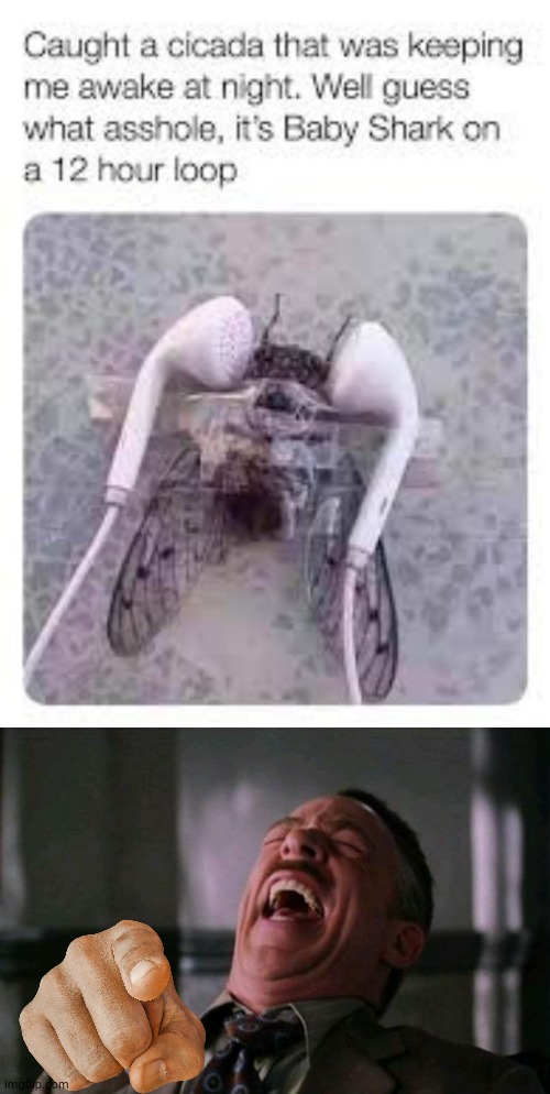 haha eat it cicada!!! | image tagged in lmao,cicada | made w/ Imgflip meme maker
