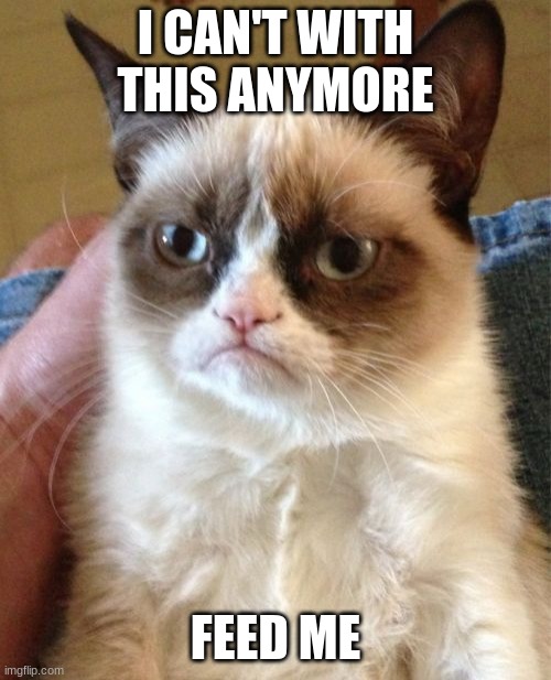 Grumpy Cat Meme | I CAN'T WITH THIS ANYMORE; FEED ME | image tagged in memes,grumpy cat | made w/ Imgflip meme maker