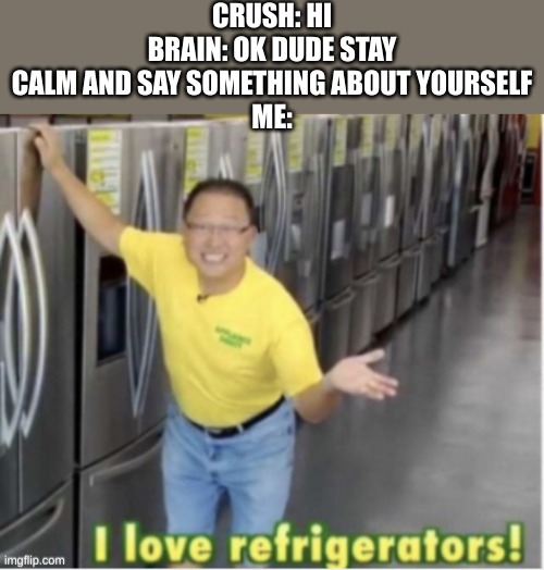 I love refrigerators! | CRUSH: HI
BRAIN: OK DUDE STAY CALM AND SAY SOMETHING ABOUT YOURSELF
ME: | image tagged in i love refrigerators | made w/ Imgflip meme maker