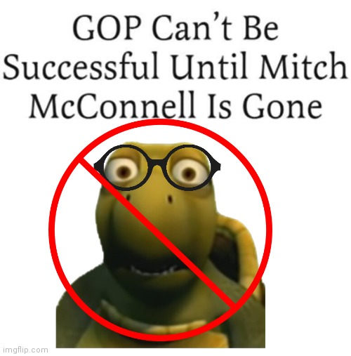 Ban the turtle | image tagged in mitch mcconnell | made w/ Imgflip meme maker