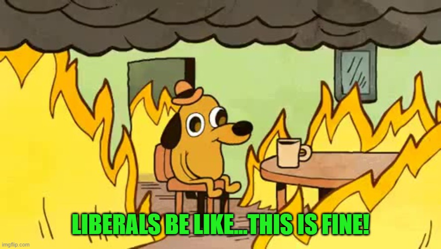 everythings-fine | LIBERALS BE LIKE...THIS IS FINE! | image tagged in everythings-fine | made w/ Imgflip meme maker