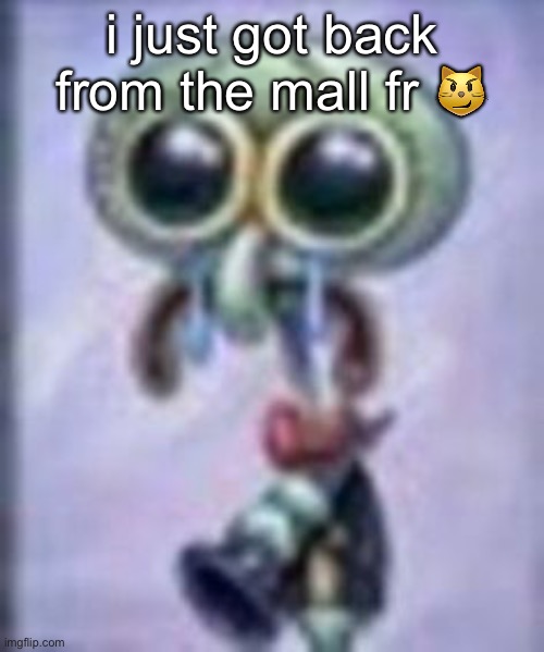 it’s always fun when i go lol it was packed in there too | i just got back from the mall fr 😼 | image tagged in squidwar cri | made w/ Imgflip meme maker