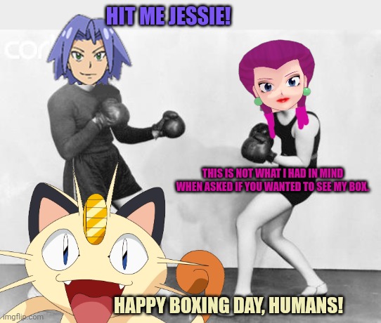 Merry boxing dai | HIT ME JESSIE! THIS IS NOT WHAT I HAD IN MIND WHEN ASKED IF YOU WANTED TO SEE MY BOX. HAPPY BOXING DAY, HUMANS! | image tagged in box,jessie,james,meowth,vote,meowth party | made w/ Imgflip meme maker