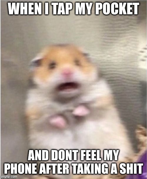 Scared Hamster | WHEN I TAP MY POCKET; AND DONT FEEL MY PHONE AFTER TAKING A SHIT | image tagged in scared hamster | made w/ Imgflip meme maker