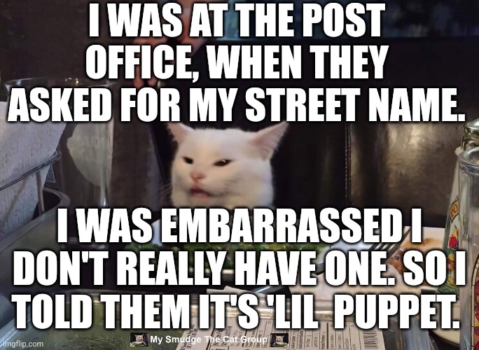 I WAS AT THE POST OFFICE, WHEN THEY ASKED FOR MY STREET NAME. I WAS EMBARRASSED I DON'T REALLY HAVE ONE. SO I TOLD THEM IT'S 'LIL  PUPPET. | image tagged in smudge the cat | made w/ Imgflip meme maker