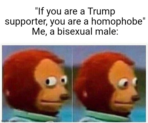 (Not political, its supposed to be funny) | "If you are a Trump supporter, you are a homophobe"
Me, a bisexual male: | image tagged in memes,monkey puppet | made w/ Imgflip meme maker