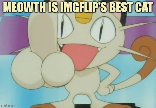 Meowth Dickhand | MEOWTH IS IMGFLIP'S BEST CAT | image tagged in meowth dickhand | made w/ Imgflip meme maker