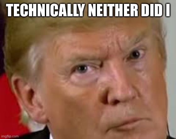 Trump eyes dilated | TECHNICALLY NEITHER DID I | image tagged in trump eyes dilated | made w/ Imgflip meme maker