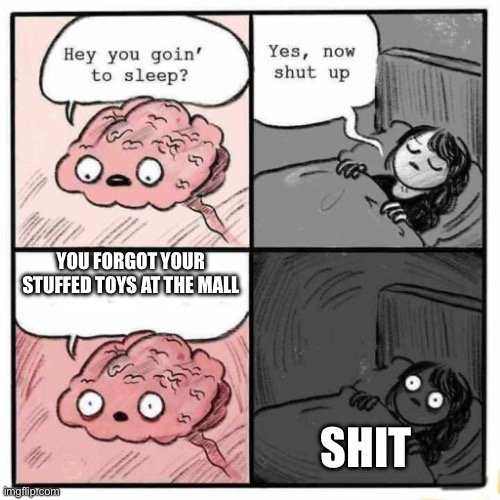 Hey you going to sleep? | YOU FORGOT YOUR STUFFED TOYS AT THE MALL; SHIT | image tagged in hey you going to sleep | made w/ Imgflip meme maker