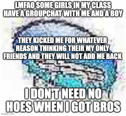 homies over some ''women'' | LMFAO SOME GIRLS IN MY CLASS HAVE A GROUPCHAT WITH ME AND A BOY; THEY KICKED ME FOR WHATEVER REASON THINKING THEIR MY ONLY FRIENDS AND THEY WILL NOT ADD ME BACK; I DON'T NEED NO HOES WHEN I GOT BROS | image tagged in ice cursed | made w/ Imgflip meme maker