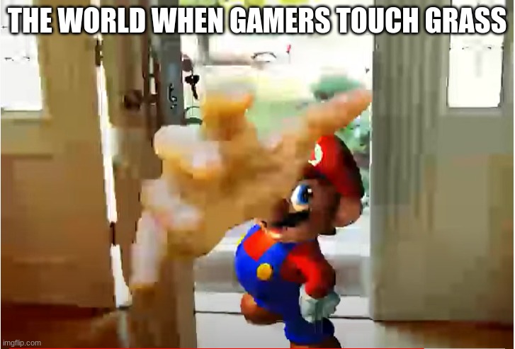 Mario Stealing Your Liver | THE WORLD WHEN GAMERS TOUCH GRASS | image tagged in mario stealing your liver | made w/ Imgflip meme maker