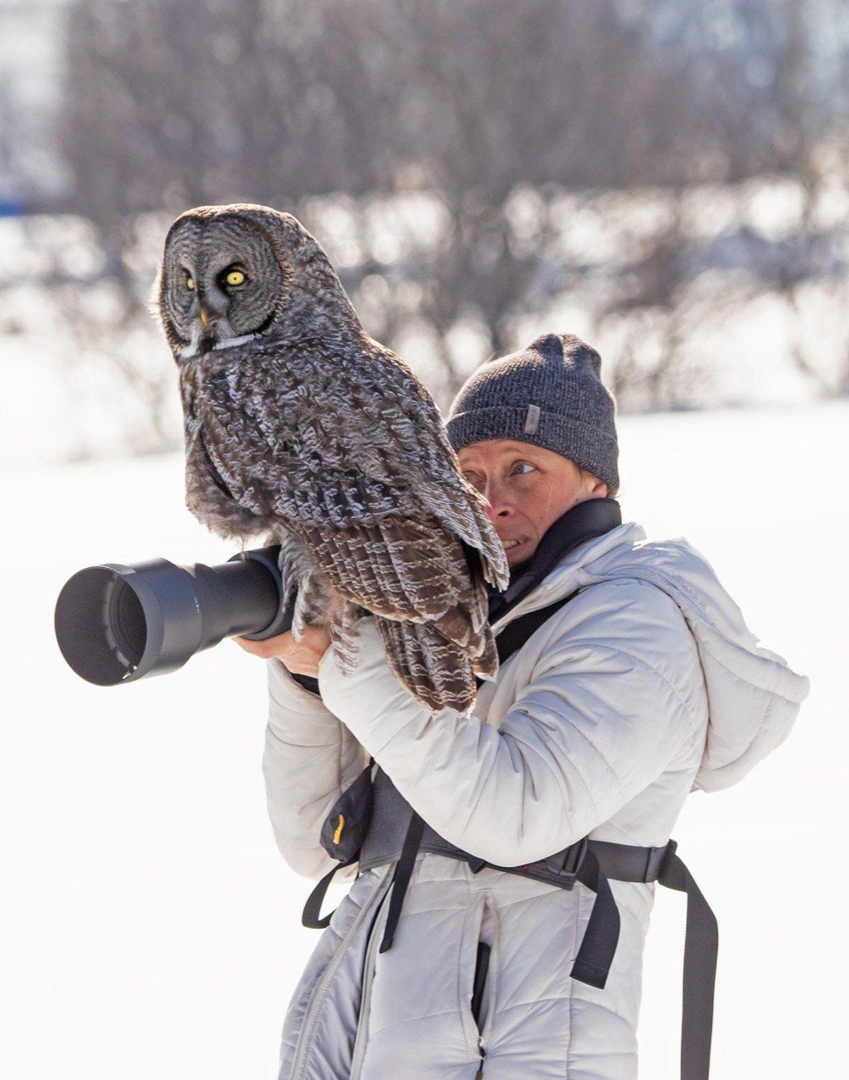 High Quality Owl sits on photographer Blank Meme Template