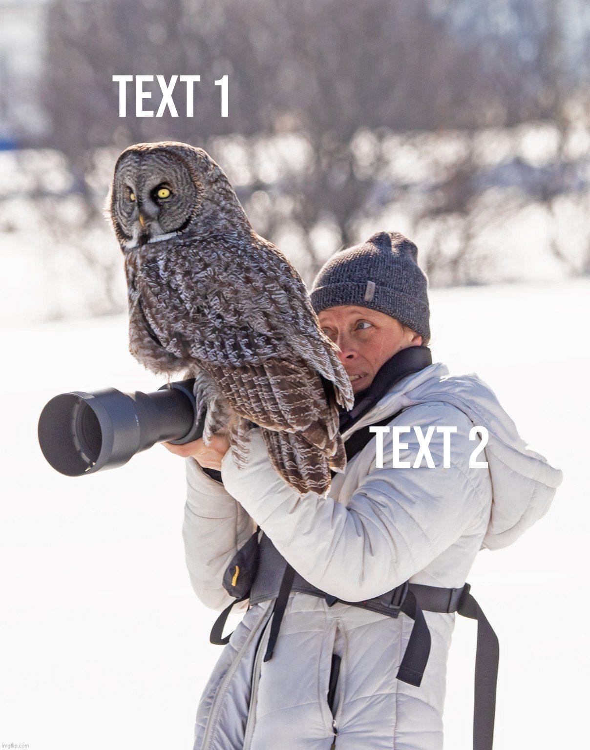 Owl sits on photographer | Text 1; Text 2 | image tagged in owl sits on photographer | made w/ Imgflip meme maker