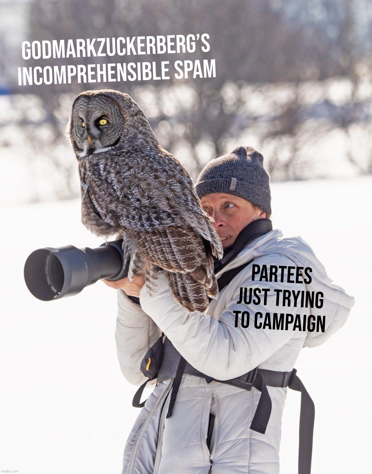 Oh thank God he’s gone. Though this meme will probably jinx it and bring him back | GODMarkZuckerberg’s incomprehensible spam; Partees just trying to campaign | image tagged in owl sits on photographer,godmarkzuckerberg,spam,spammers,spamming spammers,who spam | made w/ Imgflip meme maker