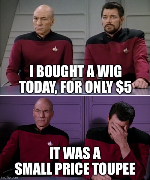 Wig or Toupee | I BOUGHT A WIG TODAY, FOR ONLY $5; IT WAS A SMALL PRICE TOUPEE | image tagged in picard riker listening to a pun,wig,toupee | made w/ Imgflip meme maker