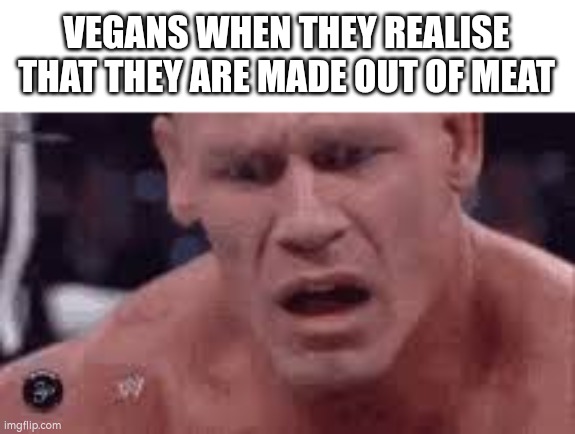 John Cena Sad / Confused |  VEGANS WHEN THEY REALISE THAT THEY ARE MADE OUT OF MEAT | image tagged in john cena sad / confused,vegans,meat,idk | made w/ Imgflip meme maker