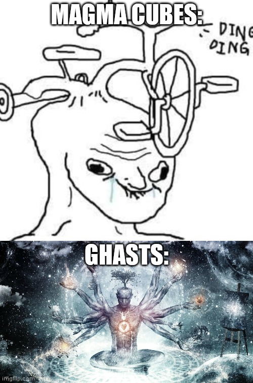 GHASTS: MAGMA CUBES: | image tagged in brainless,ascendant human | made w/ Imgflip meme maker