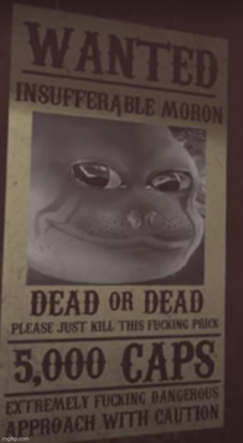 What did he do? | image tagged in wanted fallout new vegas | made w/ Imgflip meme maker