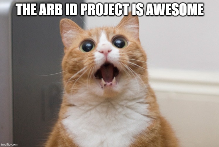 Amazed cat | THE ARB ID PROJECT IS AWESOME | image tagged in amazed cat | made w/ Imgflip meme maker