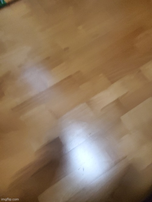 Random picture of my floorboards | made w/ Imgflip meme maker