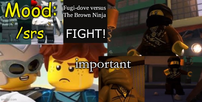 FDVTBN Temp 2.1 | /srs; important | image tagged in fdvtbn temp 2 1 | made w/ Imgflip meme maker
