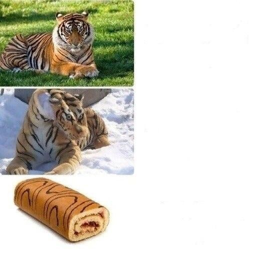 tiger Blank Template Imgflip