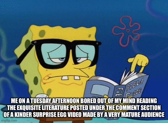 Intelegens | ME ON A TUESDAY AFTERNOON BORED OUT OF MY MIND READING THE EXQUISITE LITERATURE POSTED UNDER THE COMMENT SECTION OF A KINDER SURPRISE EGG VIDEO MADE BY A VERY MATURE AUDIENCE | image tagged in spongebob book | made w/ Imgflip meme maker