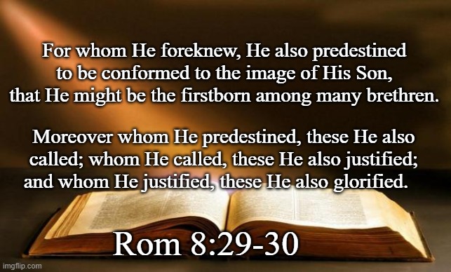Bible  | For whom He foreknew, He also predestined to be conformed to the image of His Son, that He might be the firstborn among many brethren. Moreo | image tagged in bible | made w/ Imgflip meme maker