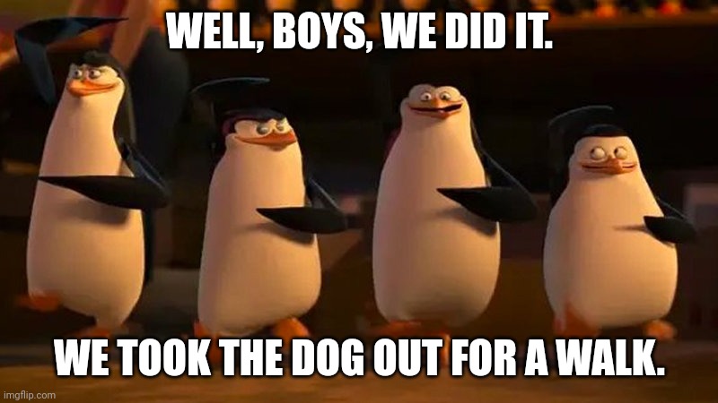 penguins of madagascar | WELL, BOYS, WE DID IT. WE TOOK THE DOG OUT FOR A WALK. | image tagged in penguins of madagascar | made w/ Imgflip meme maker