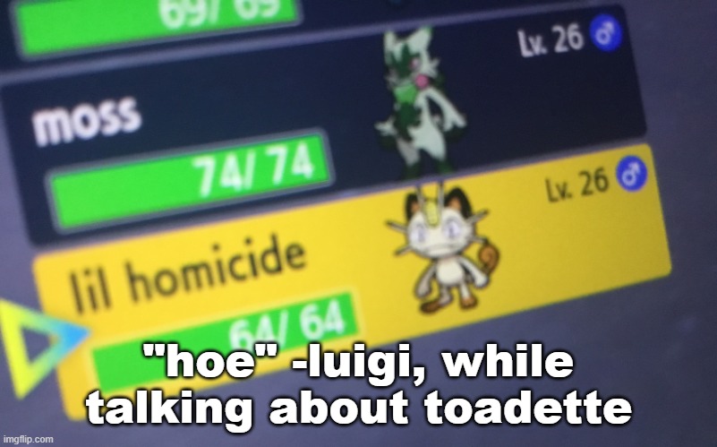 lil homicide | "hoe" -luigi, while talking about toadette | image tagged in lil homicide | made w/ Imgflip meme maker