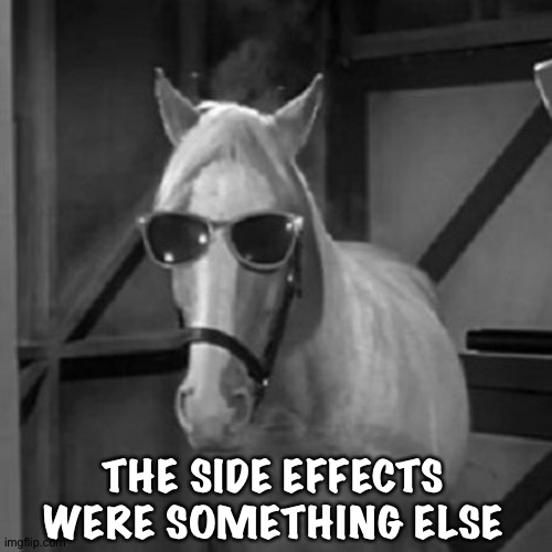 Mr. Ed DEAL WITH IT | THE SIDE EFFECTS WERE SOMETHING ELSE | image tagged in mr ed deal with it | made w/ Imgflip meme maker